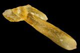 Amber-Yellow Calcite Crystals - Highly Fluorescent! #177282-1